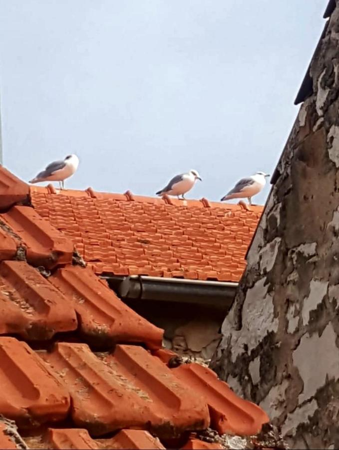 Hvar Heart Heritage Apartment Стари Град Екстериор снимка